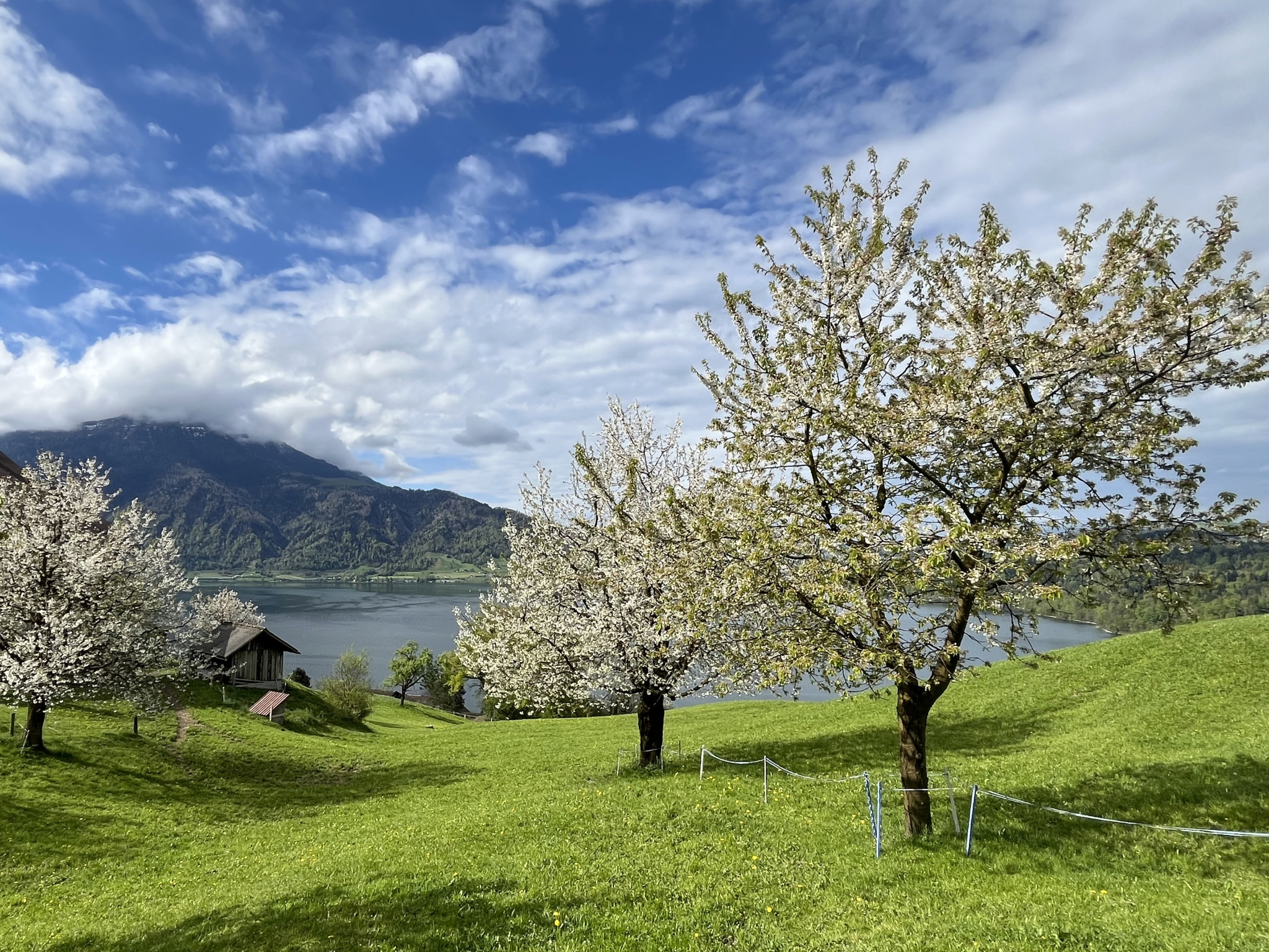 Printemps à Zoug