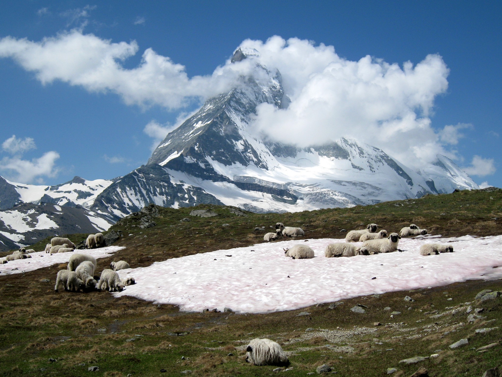 Zermatt — amongst the 4000ers (3 days)