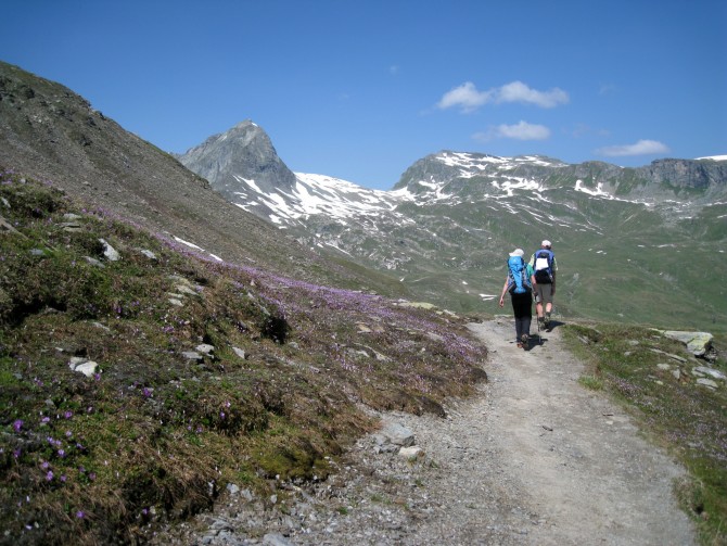 Panoramic traverse from Bergell to Val Bever (4 days)