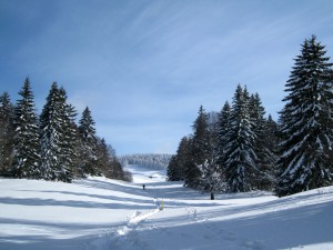IMG_0485