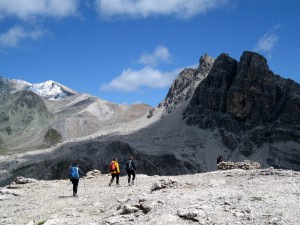IMG_1764