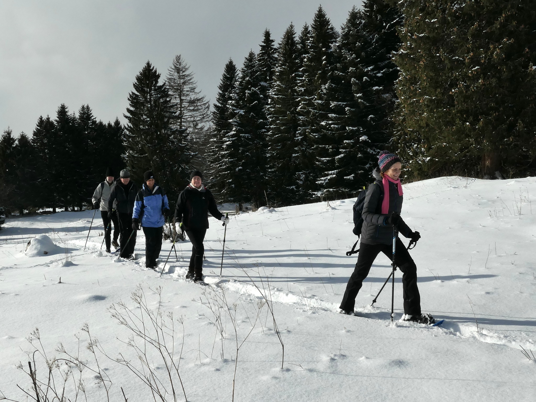 Snow-shoe introduction