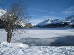 img_1292xmascard
