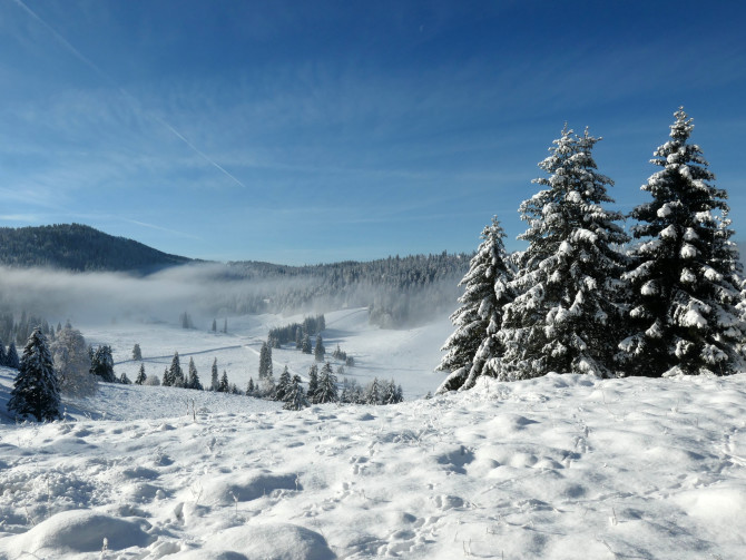 Col du Mollendruz–Croix de Châtel*