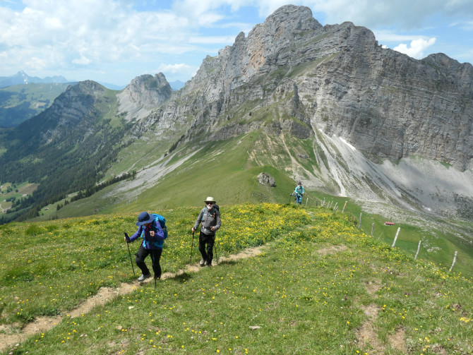 Diemtigtal Nature Park