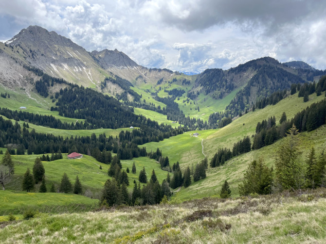 Les Paccots panorama trail**