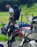 2a3e859d-38ab-48d6-8d14-0a390d0e150b