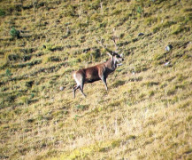 2c886861-6db5-4f81-a3b0-3fc6cbe71951