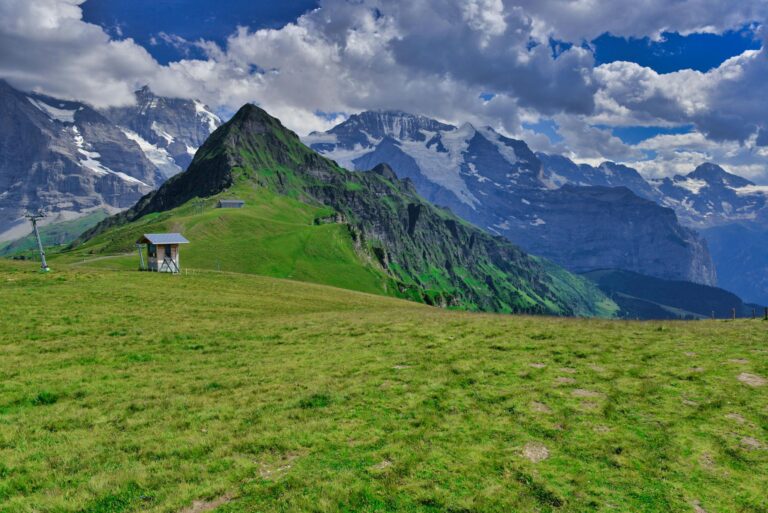 Breathtaking summer landscape of Grindelwald in the Swiss Alps, featuring lush meadows and snowcapped peaks.