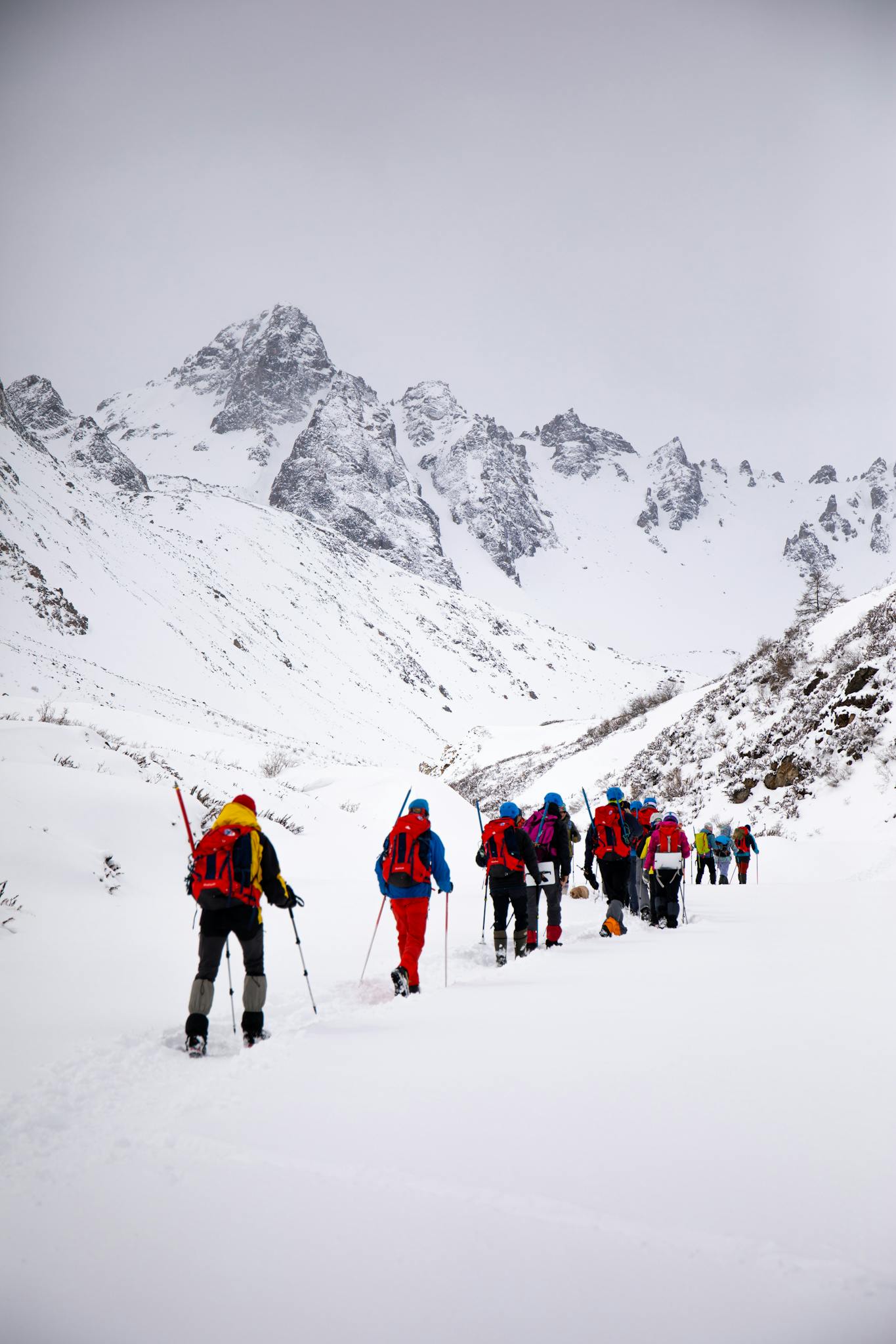 Group of hikers trekking through snowy alpine mountains, showcasing adventure and nature.