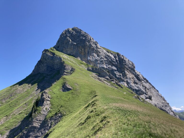 Tour de l’Argentine****